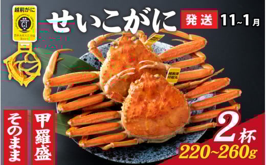 【先行予約】選べる！美味しさ直送【成前特選】 せいこがに（220g～260g）×2杯 【11月～1月発送】甲羅盛  [E-028045_07] / ズワイガニ 甲羅盛り 越前がに かに 蟹 楚蟹 セイコ蟹 越前かに 香箱がに こうばこがに 親ガニ こっぺがに せこがに 甲羅蟹 甲羅がに 香箱蟹 メス ずわいがに カニ セイコガニ 1144375 - 福井県福井市