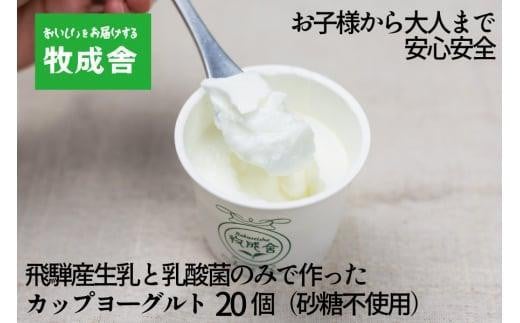 【通常配送】砂糖不使用 プレーンヨーグルト 20個 飛騨の牛乳屋 牧成舎 生乳100％ 朝食におすすめ 無糖ヨーグルト プレーンヨーグルト 砂糖不使用 生乳 ヨーグルト 乳製品 発送時期が選べる 牧成舎 DF006VC13