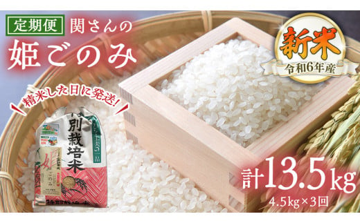 【 定期便 3ヶ月 連続 】【精米日出荷】 令和6年産 関さん「姫ごのみ」 4.5kg 新鮮 米 特別栽培農産物 認定米 お米 白米 精米 ひめごのみ