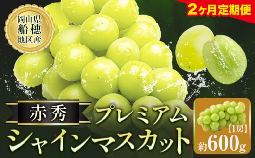 【2ヶ月定期便】ぶどう シャインマスカット 赤秀 プレミアム 晴王 600g 1房 ハレノフルーツ(アストライ)《2025年9月上旬-10月末頃出荷》岡山県 浅口市 送料無料 フルーツ 果物 マスカット お取り寄せフルーツ【配送不可地域あり】 st-p