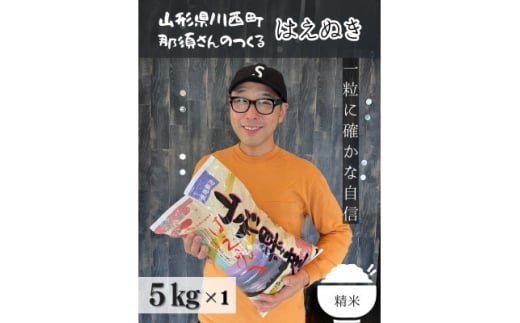 令和6年産 山形県産＜はえぬき＞精米 5kg(5kg×1袋)【1553718】