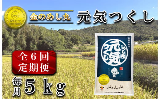 CE-082_【定期便６回】金のめし丸元気つくし　５Kg（１袋） 1717726 - 福岡県行橋市