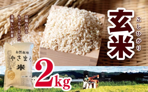 コシヒカリ 玄米 2kg （1㎏×2袋） |   米 こめ お米 おこめ げんまい やさまる こしひかり 千葉県 君津市 きみつ 1747262 - 千葉県君津市