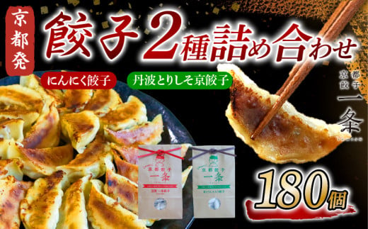  選べる 餃子 2種詰め合わせセット にんにく餃子 ＆ 丹波とりしそ京餃子  180個  冷凍 ぎょうざ ギョウザ ギョーザ しょうが 生姜 豚肉 便利 簡単調理 惣菜 絶品 おかず お子様 家族 こだわり餃子 餃子 人気餃子 簡易包装餃子 冷凍餃子 冷凍生餃子 京都 井手町 京都餃子一条  1733744 - 京都府京都府庁