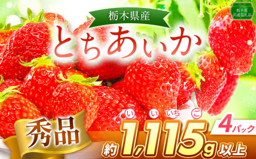 とちあいか 秀品 1,115g以上（4P） | いちご日本一 ミス苺 応援 農林水産省 最多獲得 秀品 とちおとめ とちあいか 食べ比べ 数量 限定 共通 返礼品 ストロベリー 人気 果物 フルーツ 限定品種  栃木県 特産品 下野市 送料無料 1646267 - 栃木県下野市