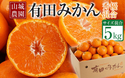 【先行予約】山城農園 和歌山県産 有田みかん 5kg 混サイズ 農園直送 ORYY 人気No.1 口コミ多数！
