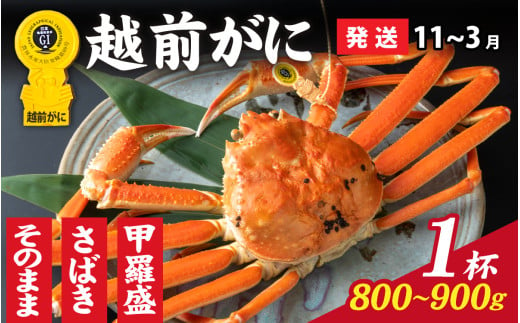 [先行予約]選べる!美味しさ直送[成前特選] 越前がに(800g〜900g)×1杯[11月〜3月発送]捌き [K-028048_08]