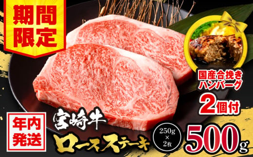 【年内発送】【期間・数量限定】宮崎牛ロースステーキ250g×2 合計500g+合挽きハンバーグ100g×2個【ミヤチク 宮崎牛 牛肉 牛肉ステーキ 肉 お肉 国産牛 和牛 ロース ステーキ 冷凍 小分け 国産 国産牛 贈答用 贈答 記念日 誕生日 内閣総理大臣賞4大会連続受賞】_M132-014-B-NN 