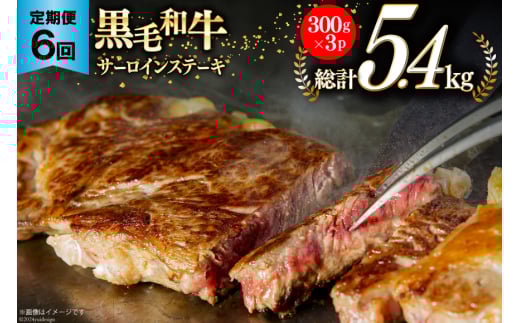 6回 定期便 宮崎県産 黒毛和牛 サーロイン ステーキ 300g ×3×6ヶ月 合計5.4kg [サンアグリフーズ 宮崎県 美郷町 31ba0035] 小分け 冷凍 送料無料 国産 牛 肉 霜降り BBQ バーベキュー キャンプ 真空包装 スペース 収納 サシ がっつり 脂