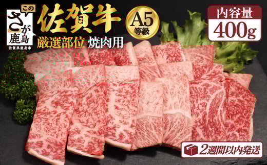 【9月配送】A5等級 佐賀牛 焼肉用 400g【厳選部位】ロース モモ ウデ バラ B-616 864009 - 佐賀県鹿島市