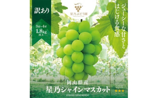 【訳あり】星乃シャインマスカット 岡山県産 1.8kg以上 3房〜4房