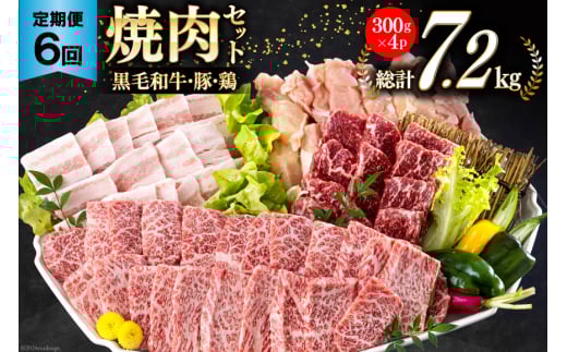 6回 定期便 宮崎県産 焼肉 セット 黒毛和牛 モモ カルビ 豚バラ 若鶏 モモ 合計7.2kg 各300g [サンアグリフーズ 宮崎県 美郷町 31ba0039] 小分け 冷凍 送料無料 国産 BBQ バーベキュー キャンプ 普段使い 炒め物 丼 カット 詰め合わせ 経産牛