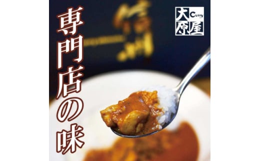 信州味噌入りカレー専門店の味!店舗で一番人気の定番「カレーの大原屋」中辛チキンカレーアソートセット【1574276】