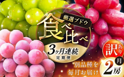 【全3回定期便】【2025年先行予約】【数量限定】【自宅用】毎月ぶどうをお届け！イチオシ3品種 各2房 島根県雲南市/ギアファーム [AIAB011] 1589755 - 島根県雲南市