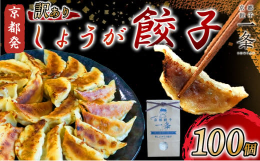 訳あり しょうが餃子 100個 冷凍 ぎょうざ ギョウザ ギョーザ しょうが 生姜 豚肉 便利 簡単調理 惣菜 絶品 おかず お子様 家族 こだわり餃子 餃子 人気餃子 簡易包装餃子 訳あり餃子 訳アリ 冷凍餃子 冷凍生餃子 京都 井手町 京都餃子一条