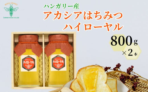 ＜ハンガリー産＞ アカシア はちみつ ハイローヤル 800g×2本 埼玉養蜂 | 蜂蜜 ハチミツ HONEY ハニー アカシア 800g 健康 朝食 プレゼント 贈答 ギフト 贈り物 ヨーグルト トースト ホットケーキ パンケーキ ミツバチ 養蜂 養蜂場 ハイローヤル 埼玉県 北本市 1810465 - 埼玉県北本市