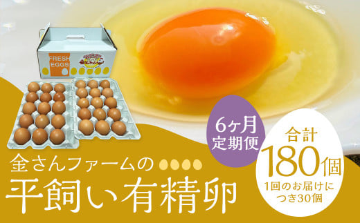 【定期便6回】【平飼い有精卵】30個入（26個+割れ保証4個） 合計180個 たまご 卵 玉子 鶏卵 平飼い 有精卵 定期便