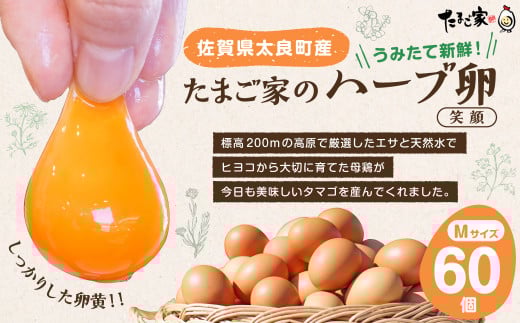 たまご家のハーブ卵(笑顔)60個 たまご 卵 玉子 タマゴ 鶏卵 卵かけご飯 佐賀県 太良町 ND3 566845 - 佐賀県太良町