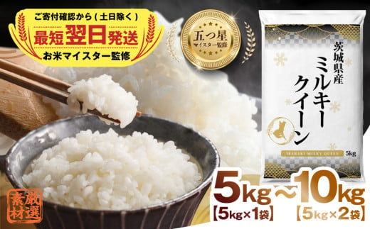 [ 最短 翌日発送 ] ＼ 選べる内容量 / [ 令和6年産 ] 茨城県産 ミルキークイーン 5kg 10kg 五つ星 お米マイスター 監修 こしひかり 国産 こめ コメ 米 精米 すぐ発送 人気 美味しい ランキング ふるさと納税 返礼品