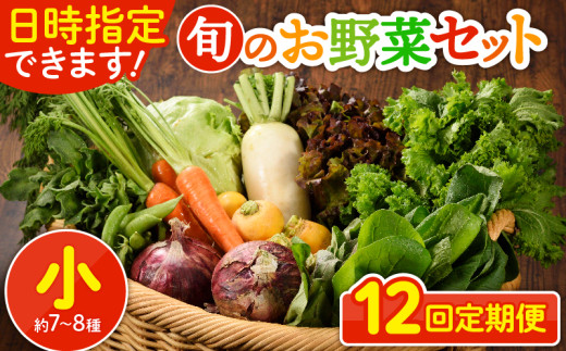 日時指定可能！旬のお野菜セット（サイズ小）【全12回定期便】