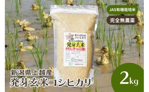 米 お米 令和6年・新潟県産 JAS有機栽培アイガモ農法 コシヒカリ 発芽玄米 2kg こしひかり こめ 新潟 上越 714136 - 新潟県上越市