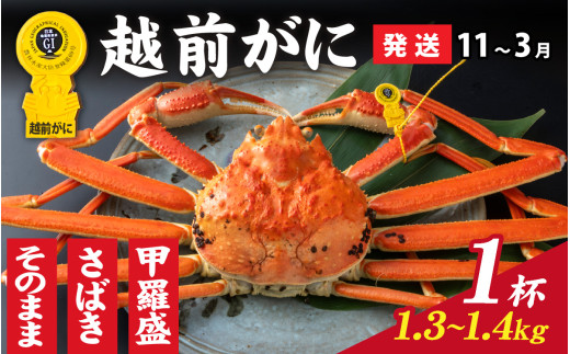 【先行予約】選べる！美味しさ直送【成前特選】越前かに（1.3kg～1.4kg）×1杯【11月～3月発送】 甲羅盛 [P-028051_07] 1144383 - 福井県福井市