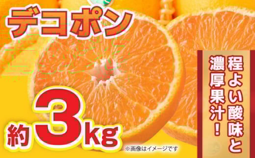 【先行予約】デコポン 約3kg 6玉～12玉【くまふる】 [ZBG009]