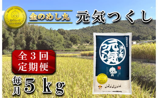 CE-083_【定期便３回】金のめし丸元気つくし　５Kg（１袋） 1717725 - 福岡県行橋市