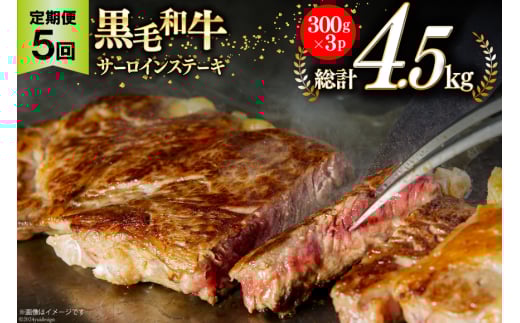 5回 定期便 宮崎県産 黒毛和牛 サーロイン ステーキ 300g ×3×5ヶ月 合計4.5kg [サンアグリフーズ 宮崎県 美郷町 31ba0034] 小分け 冷凍 送料無料 国産 牛 肉 霜降り BBQ バーベキュー キャンプ 真空包装 スペース 収納 サシ がっつり 脂