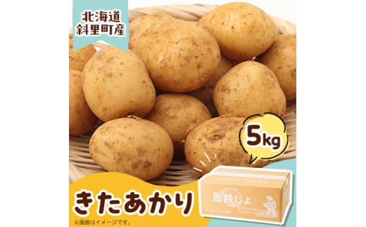 知床の大自然が育む黄金色の極上芋 きたあかり 5kg【1537870】 1450063 - 北海道斜里町