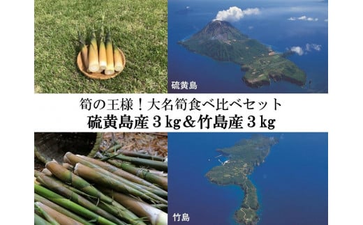 【2025年お届け】大名筍3kg（硫黄島産）＆大名筍3kg（竹島産）の食べ比べセット