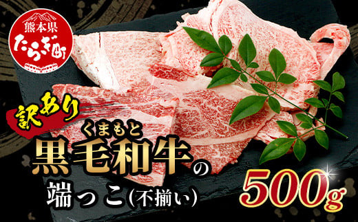 【訳あり】くまもと黒毛和牛 の 端っこ (不揃い) 切り落とし 切れ端 500g 本場 熊本県 ブランド 牛 黒毛 和牛 上質 国産 牛肉 熊本県 113-0528