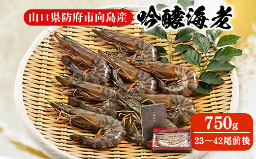 ＜山口県防府市向島産＞吟醸海老750g【1330506】 421761 - 山口県防府市