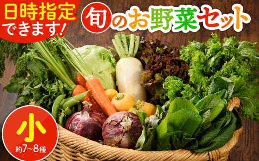 日時指定可能！旬のお野菜セット（サイズ小）