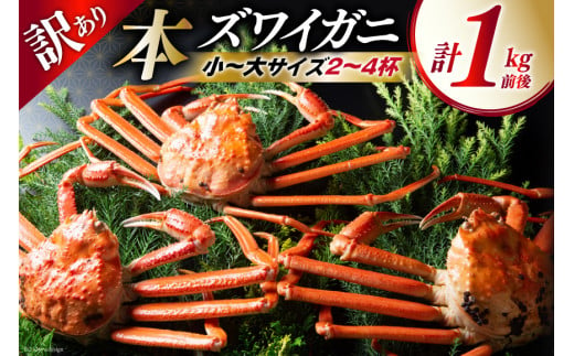 カニ 訳あり 【漁師厳選】 ボイル 本ズワイガニ 2～4杯 1kg [聖徳丸 富山県 朝日町 34310458] カニ 茹でたて ズワイガニ 姿 ボイルかに 1キロ