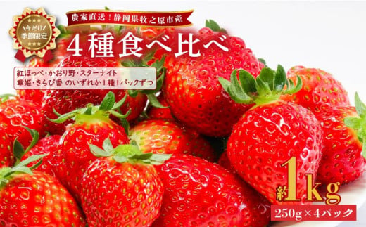 041-10 【2025年1月から順次発送】いちご 4種食べ比べ セット 1kg 250g × 4パック 産地直送 フルーツ 苺 果物 ストロベリー スターナイト 紅ほっぺ 章姫 きらぴ香 かおり野 静岡県 牧之原市産 1698368 - 静岡県牧之原市