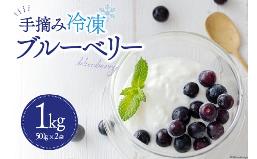 ブルーベリー 冷凍 500g × 2袋 1kg [農林産物直売所 美郷ノ蔵 宮崎県 美郷町 31ab0135] 国産 手摘み 小分け ヨーグルト 宮崎県産 おやつ お菓子 朝ごはん 朝ご飯