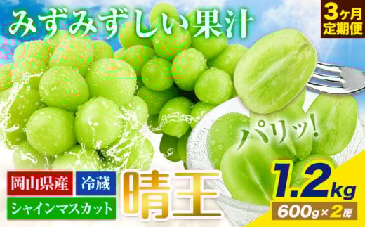 【2025年先行予約】ぶどう 3ヶ月 定期便 シャインマスカット 晴王 1.2kg 2房 岡山県産《7月上旬-9月末頃出荷》 ハレノフルーツ マスカット 送料無料 岡山県 浅口市 フルーツ 果物 国産 岡山県産【配送不可地域あり】 st-p