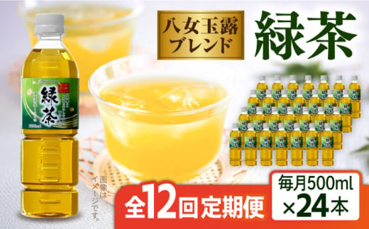 【全12回定期便】八女 玉露入り 緑茶 500ml × 24本  糸島市 / スターナイン お茶 ペットボトル [ARM017] 1077618 - 福岡県糸島市