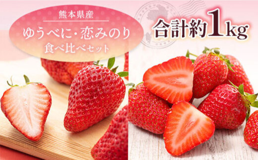 【先行予約】 ゆうべに・恋みのり 食べ比べセット 約1kg【くまふる】いちご 苺 イチゴ 冷蔵 くまもと 熊本 いちご食べ比べ いちごセット  [ZBG064]
