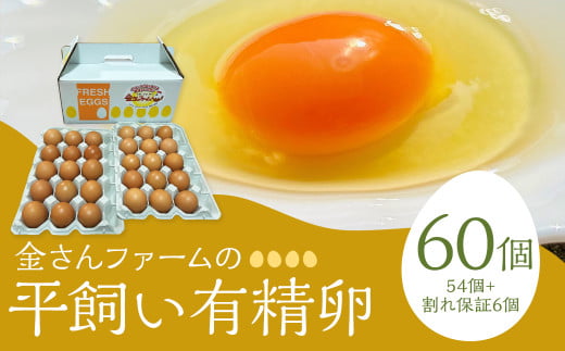 【平飼い有精卵】60個入（54個+割れ保証6個） たまご 卵 玉子 鶏卵 平飼い 有精卵
