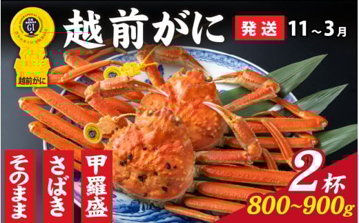 【先行予約】選べる！美味しさ直送【成前特選】 越前がに（800g～900g）×2杯【11月～3月発送】姿  [O-028049_06] / 福井県 福井 オス 雄 ズワイガニ ボイル 冷蔵 越前ガニ 越前がに 越前カニ ずわいがに ずわい蟹 かに カニ 蟹 指定 茹で 姿 甲羅盛