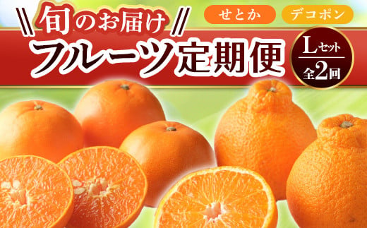 【旬のお届け フルーツ定期便 2回】Lセット せとか 約5.0kg デコポン 約5.0kg みかん 旬 フルーツ 果物 国産 香川県 F5J-790