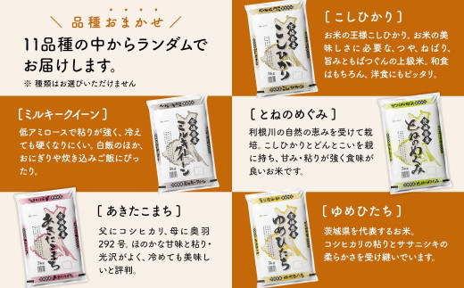 アイテムID:305420の画像2枚目