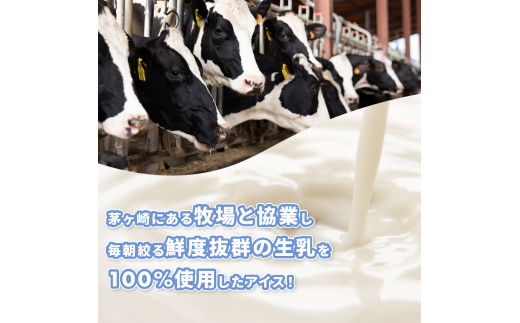 神奈川県茅ヶ崎市のふるさと納税 湘南茅ヶ崎の人気店 プレンティーズの生チョコアイスサンド＆アイスクリーム【のし有】