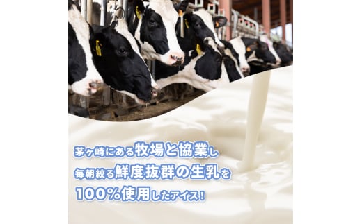 神奈川県茅ヶ崎市のふるさと納税 湘南茅ヶ崎の人気店 プレンティーズのアイスクリーム（バラエティセット５種10個）【のし有】