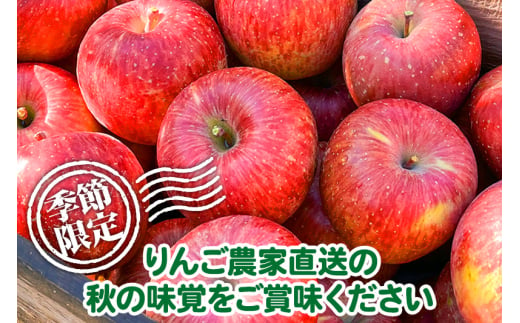 サンふじ 【特秀】 約10kg（28～40玉）りんご 林檎 - 秋田県横手市｜ふるさとチョイス - ふるさと納税サイト