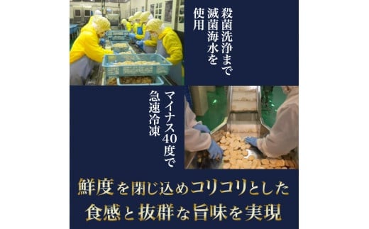 2024年とれたてを急速冷凍北海道猿払産　冷凍ホタテ貝柱４Sサイズ　１kg（51~60玉）