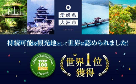 温州みかん 南柑20号 約4㎏