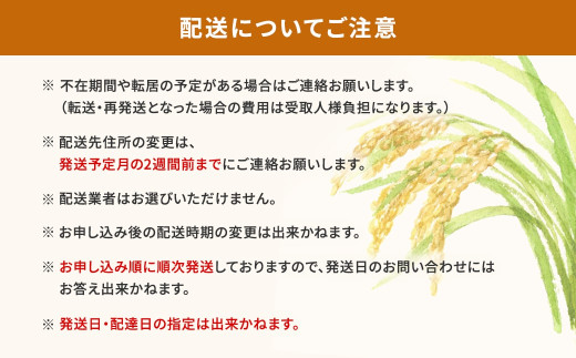 アイテムID:305420の画像7枚目